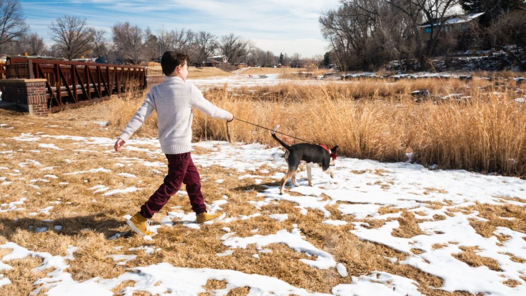 Pet-Friendly Denver: Top 5 Activities for You and Your Furry Friends